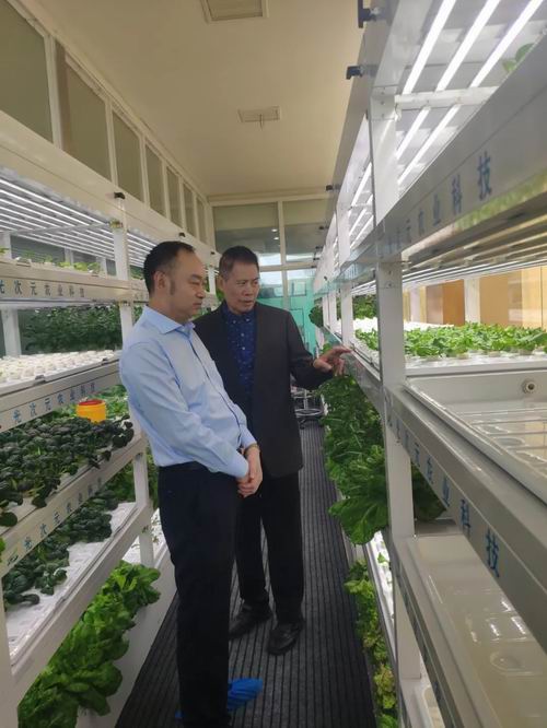 1656489514996271.jpg 640.jpg