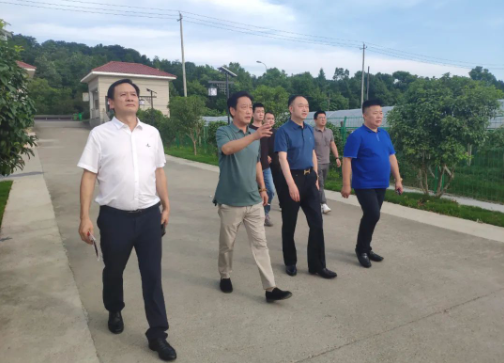 1660635344834719.png image.png